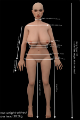 Picture of Pauline 155cm / G cup / Silicone sex doll