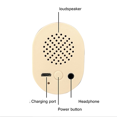 Audio in head - only with moaning function [+€75]